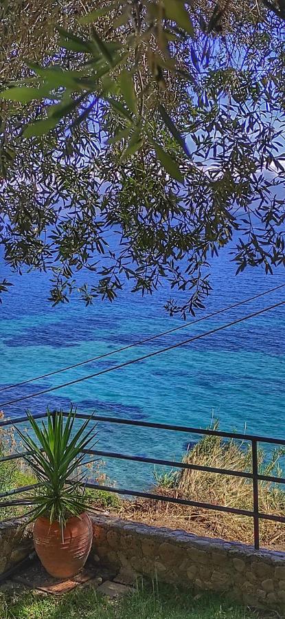 Villa Fourtuna Apartment Agios Ioannis Peristerion Exteriér fotografie