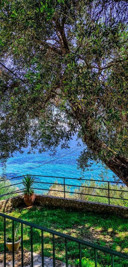 Villa Fourtuna Apartment Agios Ioannis Peristerion Exteriér fotografie