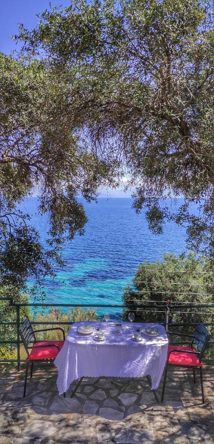 Villa Fourtuna Apartment Agios Ioannis Peristerion Exteriér fotografie
