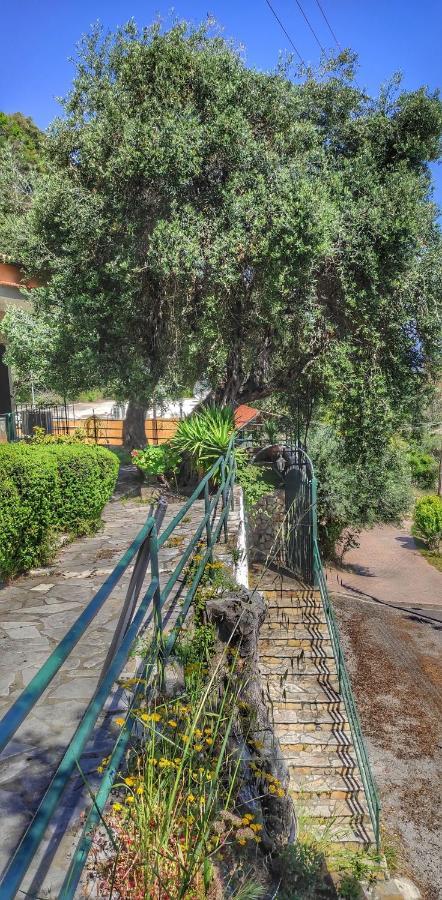 Villa Fourtuna Apartment Agios Ioannis Peristerion Exteriér fotografie