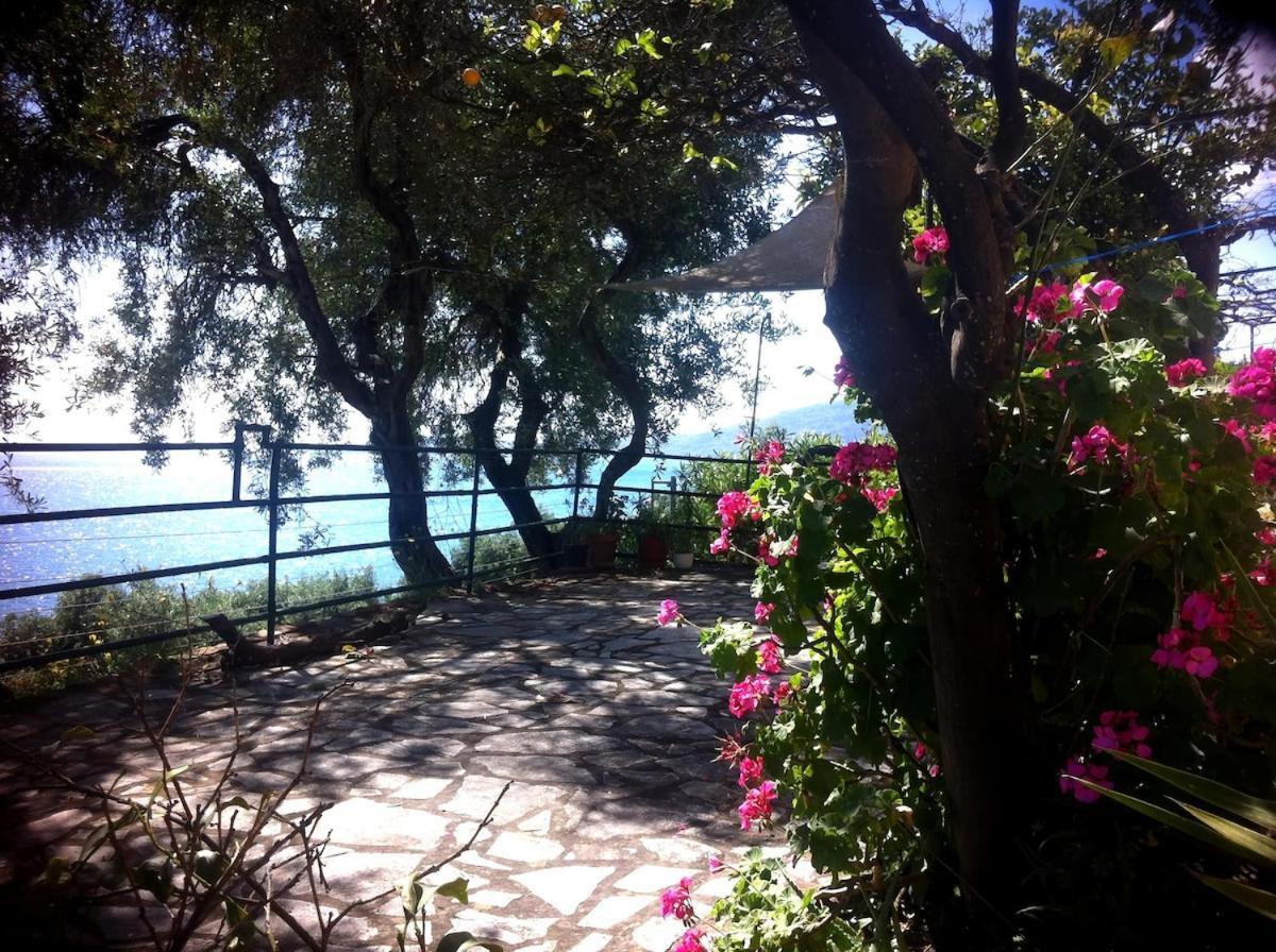 Villa Fourtuna Apartment Agios Ioannis Peristerion Exteriér fotografie