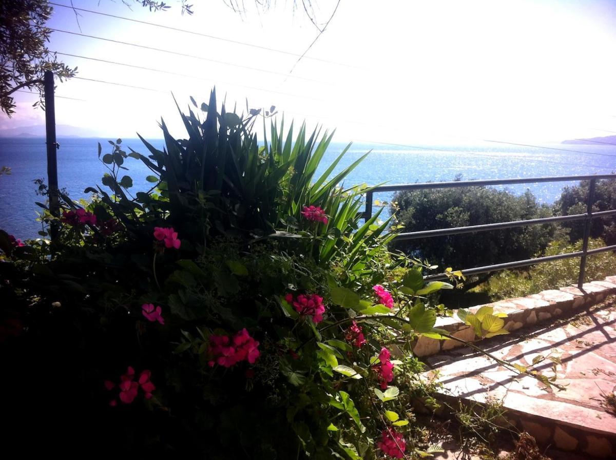 Villa Fourtuna Apartment Agios Ioannis Peristerion Exteriér fotografie