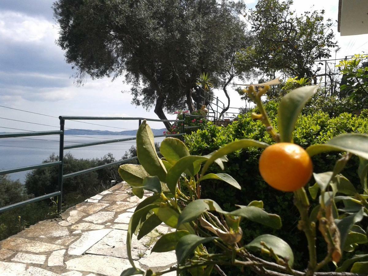 Villa Fourtuna Apartment Agios Ioannis Peristerion Exteriér fotografie